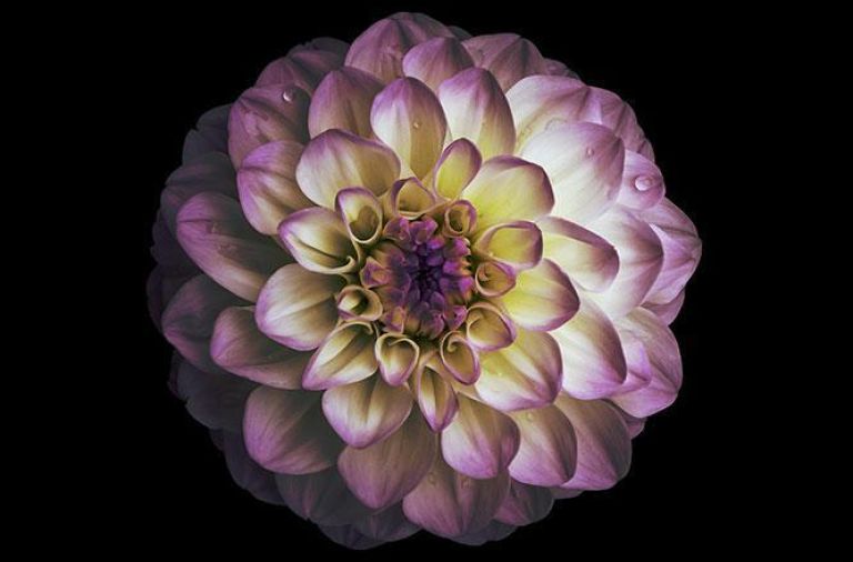 docce emozionali con Aromaterapia