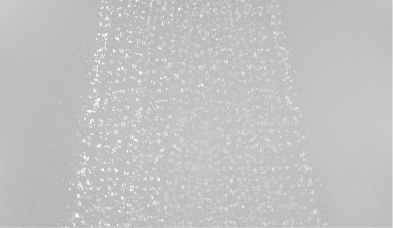 scenario11_scenario03_immagine3.png