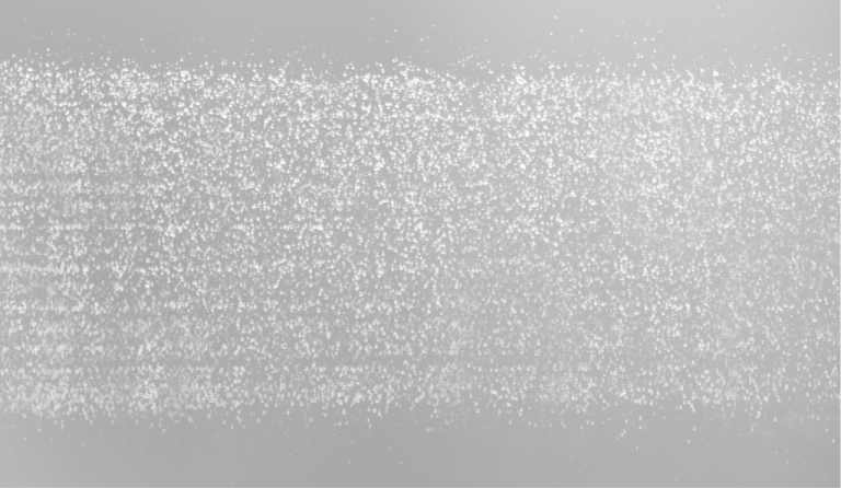 scenario4_scenario02_immagine3.png